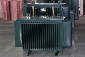 S11-M-1250/10 Dreiphasiger Ölverteilungstransformator
